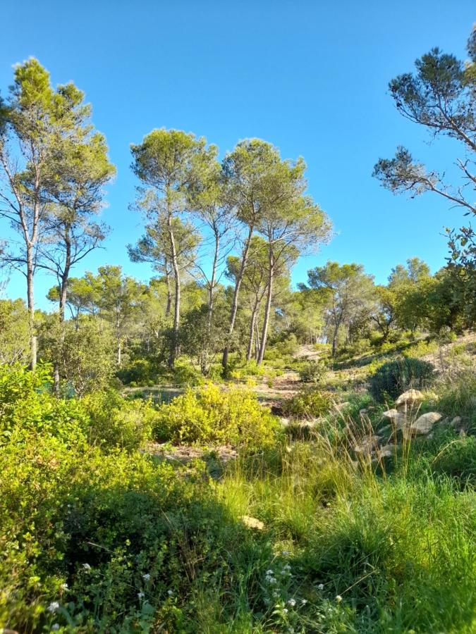 Studio Du Roc Des Garrigues Langlade Екстериор снимка